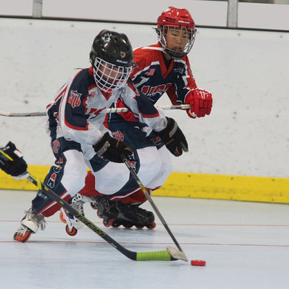 Palet Hockey - FrencHockey